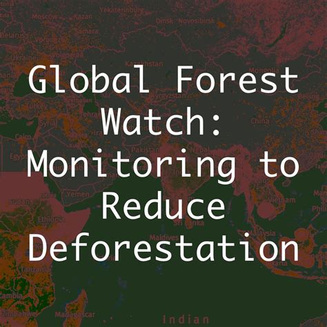 global forest watch fake news|Forest News, Research & Monitoring .